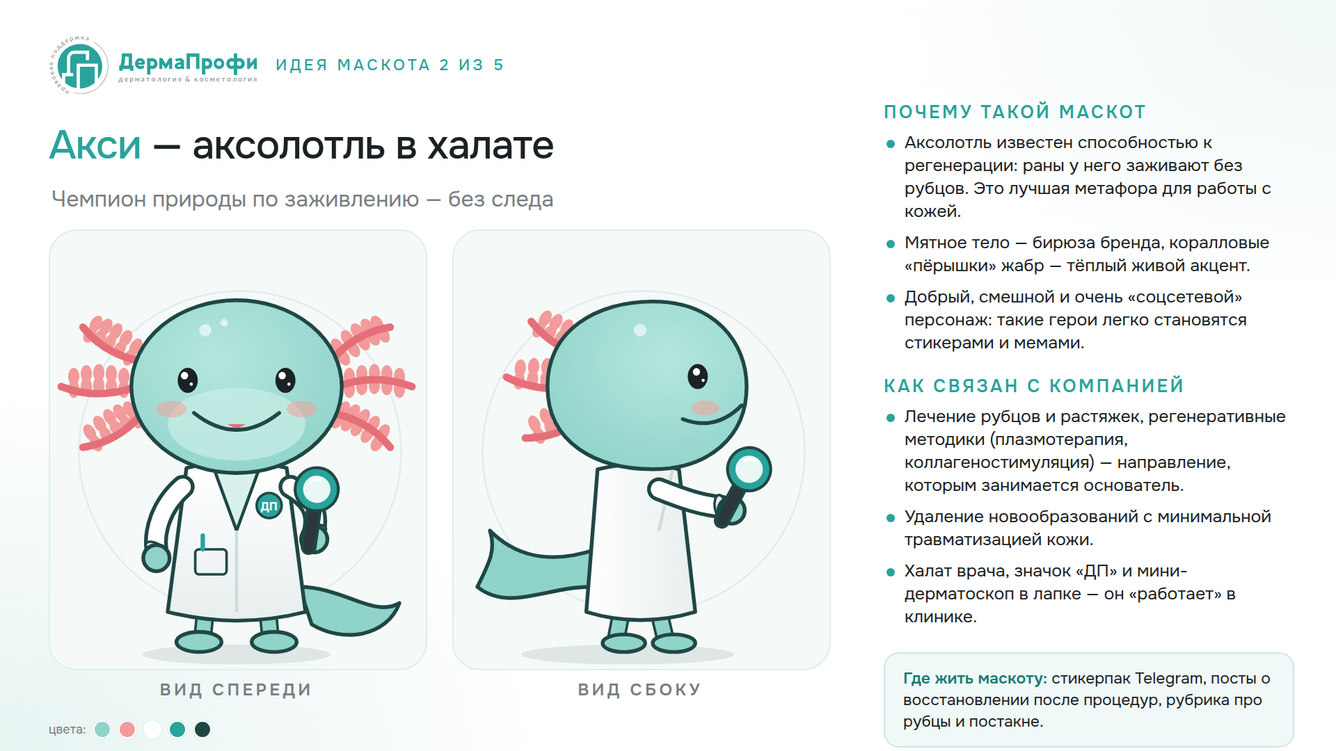Акси — аксолотль в халате