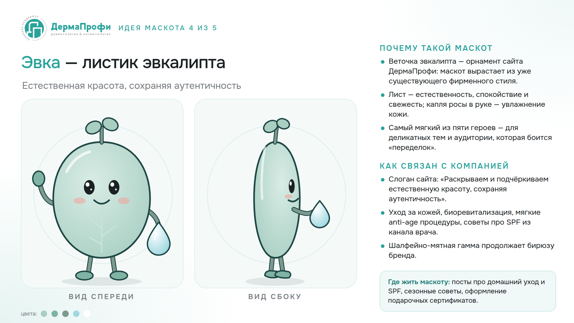 Эвка — листик эвкалипта